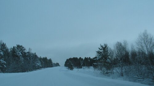 Trondheim Nach Dombås auf dem Dovrefjell. Die Ruhe vor dem Sturm 😎