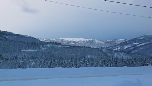 Trondheim Der große Schneesturm ist vorbei