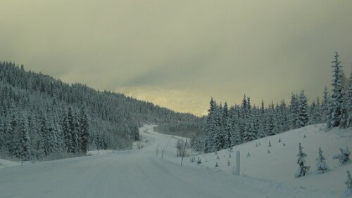 Mosjøen Auf der Fahrt von Trondheim nach Mosjøen