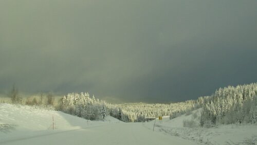 Mosjøen Auf der Fahrt von Trondheim nach Mosjøen