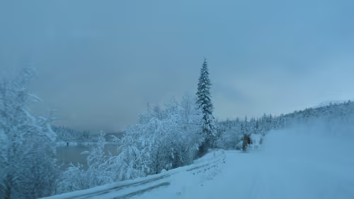 Mosjøen Auf der Fahrt von Trondheim nach Mosjøen