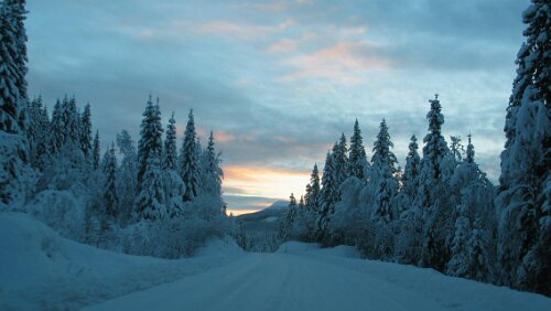 Bognes Die „Piste“