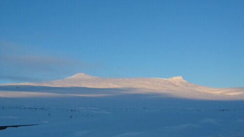 Bognes Auf dem Saltfjelt