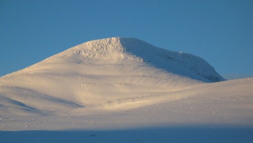 Bognes Auf dem Saltfjelt