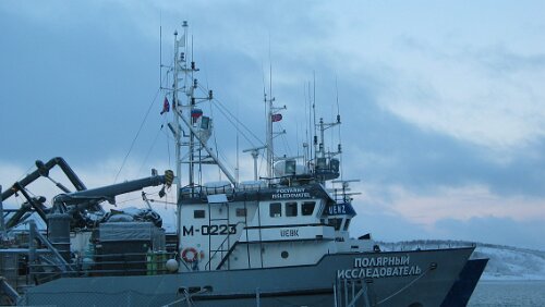 3. Tag Hurtigrute Russland ist nicht weit