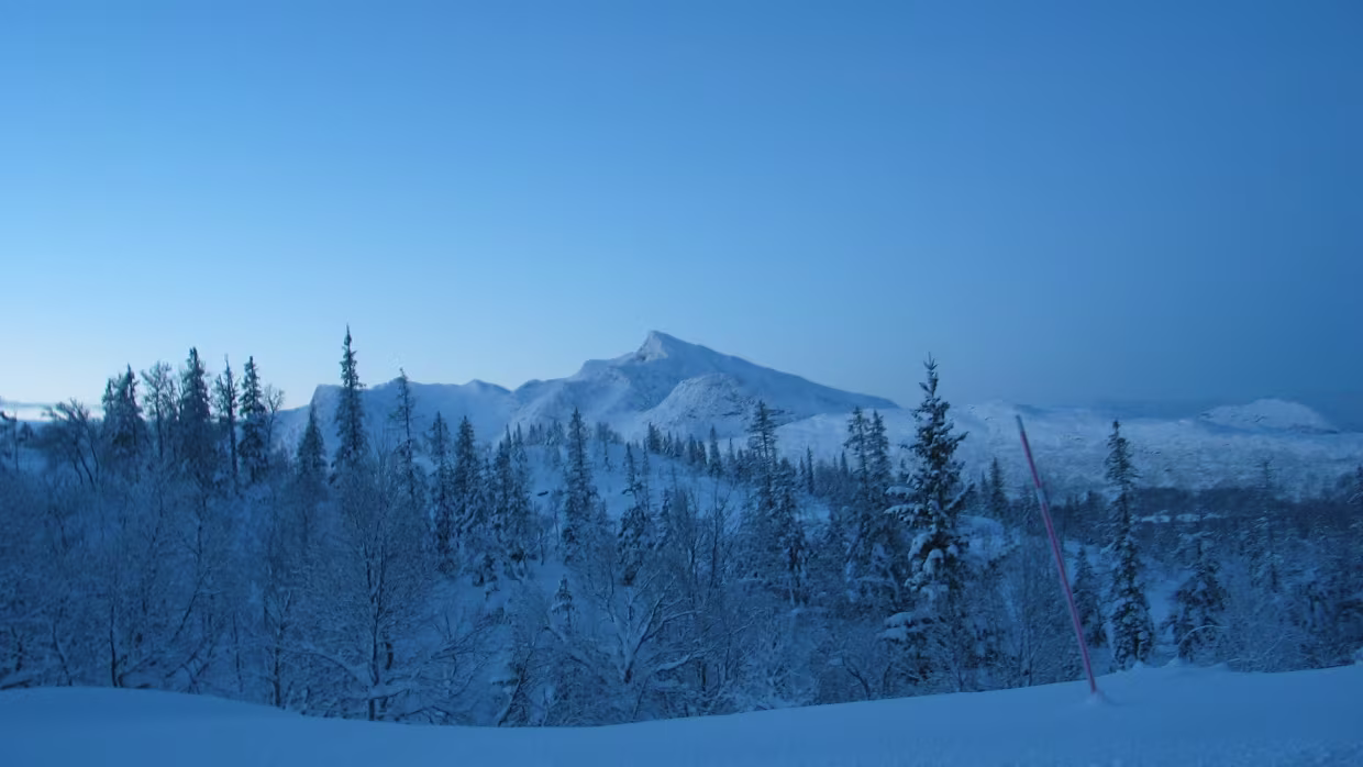 Prolog/Epilog 2004/11