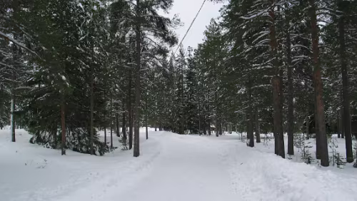 Rovaniemi Spazierweg auf den Ounasvaara