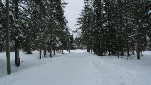 Rovaniemi Spazierweg auf den Ounasvaara