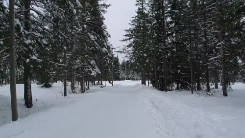 Rovaniemi Spazierweg auf den Ounasvaara
