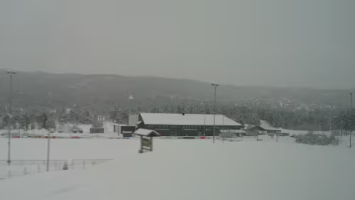 Oslo – Bergen Oslo - Bergen