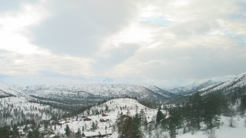 Oslo – Bergen Oslo - Bergen