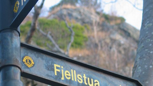 Bergen – Trondheim 418 Stufen, hoch und runter 😎