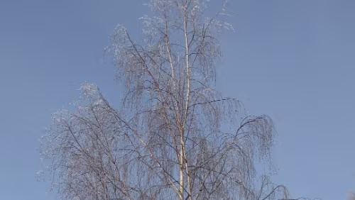 Oslo – Trondheim Am Randsfjorden