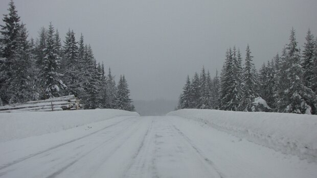 05.03.2009 Trondheim – Geilo