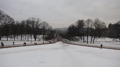 Geilo – Oslo Blick vom Königlichen Schloss auf die Karl Johans gate