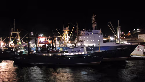 Hurtigrute Øksfjord – Berlevåg Honningsvåg