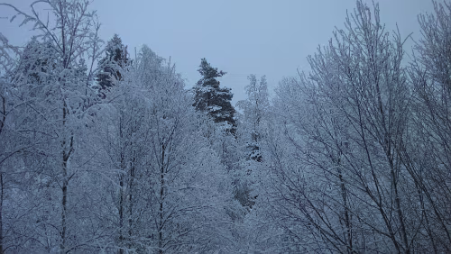Trondheim S – Bergen Kurzer Halt auf den Gegenzug nach Hamar