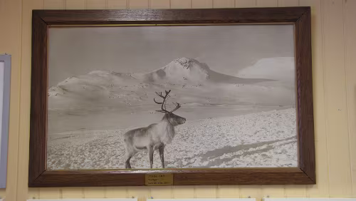 Oslo S – Bergen Bilder im Bahnhof von Finse