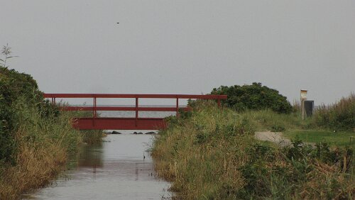 Odder Ein kleiner Bach mündet in die Bucht am Dyngby Strand