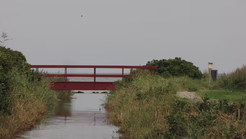 Odder Ein kleiner Bach mündet in die Bucht am Dyngby Strand