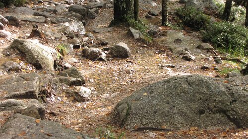 Preikestolen Der hier gemütliche Weg ist gleichzeitig auch ein kleiner Bach