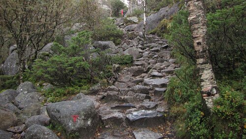 Preikestolen Erneuter Anstieg im Felsenmeer