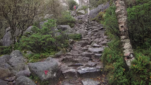 Preikestolen Erneuter Anstieg im Felsenmeer