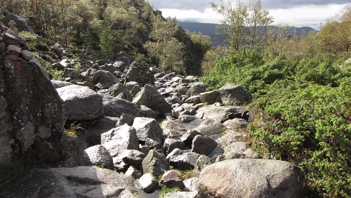 Preikestolen Ja, wo ist denn hier der Weg?