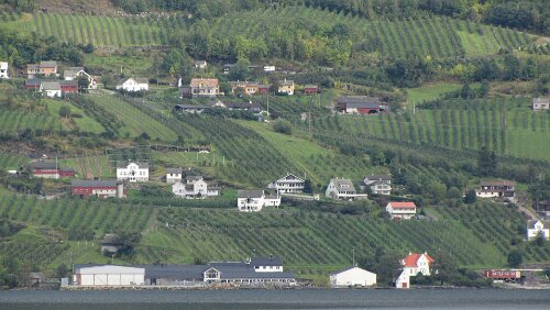 Sandnes – Fotlandsvåg Obstanbau am Sørfjord, östliches Ufer