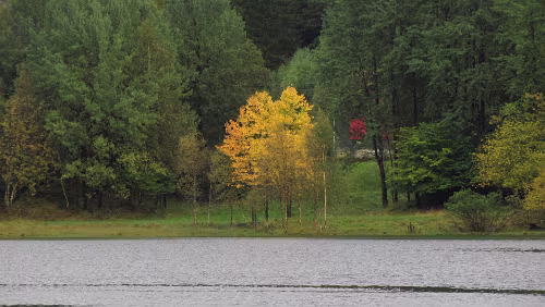 Sandnes – Fotlandsvåg Kleiner Spaziergang um Fotlandsvåg