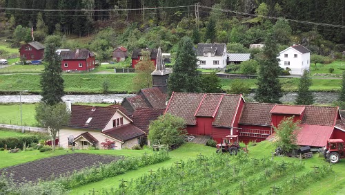 Fotlandsvåg – Flåm – Flåmsbana Das im Vordergrund könnten Himbeeren sein