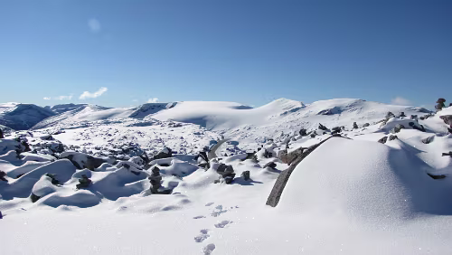 Briksdalsbre – Dalsnibba – Geiranger – Trollstiegen – Trondheim Ab einer bestimmten Höhe ist alles mit Schnee bedeckt
