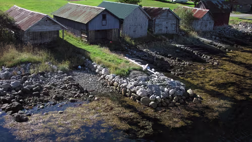 Briksdalsbre – Dalsnibba – Geiranger – Trollstiegen – Trondheim Am Fähranleger in Eidsdal