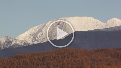 Bognes – Tromsø – Hurtigrute MS Nordkapp Vor Nordkjosbotn, Schnee bedeckte Berge und verfärbte Bäume