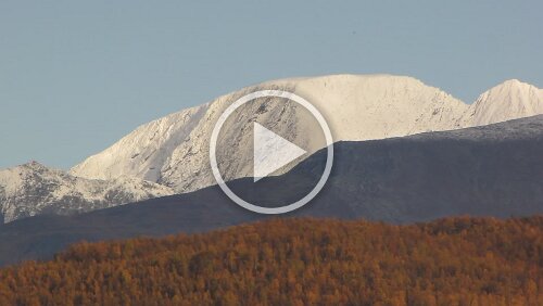 Bognes – Tromsø – Hurtigrute MS Nordkapp Vor Nordkjosbotn, Schnee bedeckte Berge und verfärbte Bäume