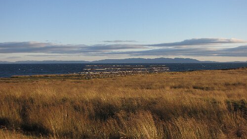 Skarsvåg – Vadsø Trockengestelle für Fische
