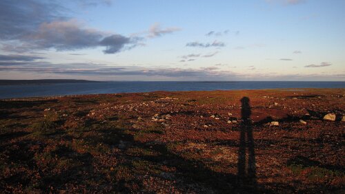 Skarsvåg – Vadsø Laaaaaaanger Schatten