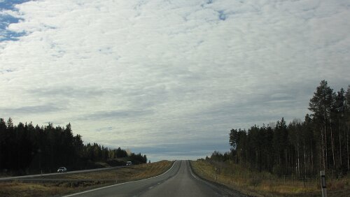 Rovaniemi – Uppsala Auf der E4 kurz vor Skellefteå