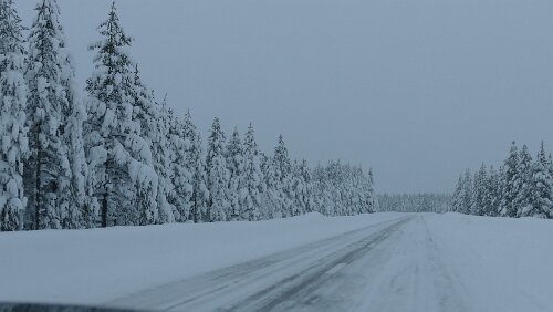 Östersund – Koskullskulle Vor lauter Schnee sieht man den Wald nicht
