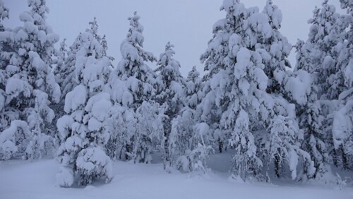 Koskullskulle – Tromsø Noch mehr Schnee geht fast nicht