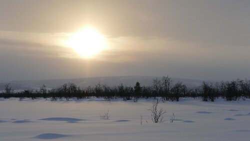 Koskullskulle – Tromsø Temperaturen um ca. -17°C, alles wirkt wie erstarrt