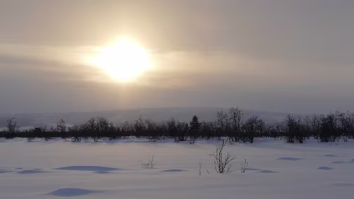 Koskullskulle – Tromsø Temperaturen um ca. -17°C, alles wirkt wie erstarrt