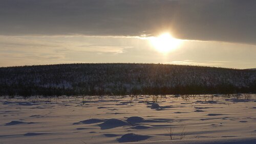 Koskullskulle – Tromsø Temperaturen um ca. -17°C, alles wirkt wie erstarrt