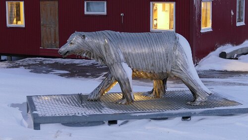 Longyearbyen Eisbär in Sicht