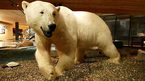 Longyearbyen Ein ganz schöner Brocken