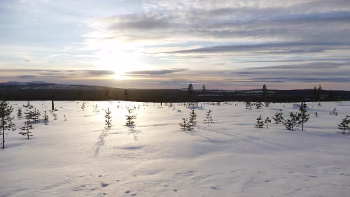 Östersund – Engan Zwischen Arvidsjaur und Arjeplog