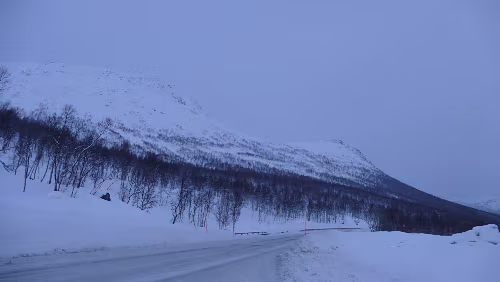 Engan – Tromsø Auf der Fahrt nach Tromsø. Gerade mal auf einer Höhe von gut 330m ü. d. M. und jede Menge Schnee, aber die Temperatur nahe Null.
