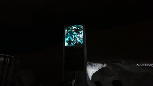 Longyearbyen Svalbard globale frøhvelv er en frøbank i fjellet Platåberget, i nærheten av Longyearbyen på Spitsbergen, Svalbard.