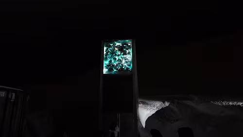 Longyearbyen Svalbard globale frøhvelv er en frøbank i fjellet Platåberget, i nærheten av Longyearbyen på Spitsbergen, Svalbard.