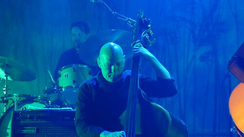 „Ane Brun“ „Ane Brun“